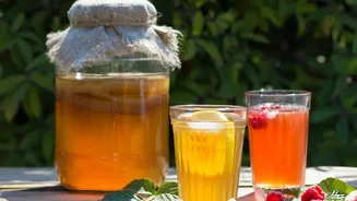 How Artisanal Growers Craft Low-Sugar Cold-Brew Nilgiri Tea For Health-Conscious Drinkers