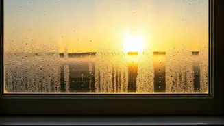 Embrace the Dawn: 7 Powerful 5 AM Affirmations for a Calmer, More Present You