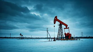 US Winter Storm's Economic Impact: Oil, Power, and Fatalities