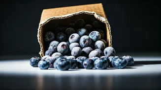 Urgent Recall: 55,000 Pounds of Frozen Blueberries Pulled Over Listeria Contamination Risk