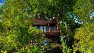 Monsoon Homestays In Coorg Attract Slow Travellers Seeking Lush Green Escapes On Coffee Estates