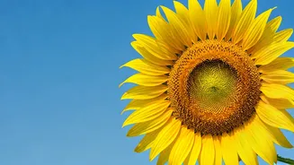 Kindness: Why It Always Matters for Your Well-being