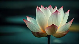 Related Stories banner