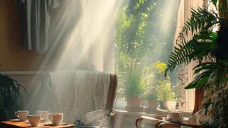 Why Morning Light Exposure Is Essential For Resetting Clocks And Boosting Energy