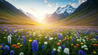 Valley Of Flowers Alpine Blooms Awake For Indian Trekkers