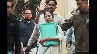 'All Documents Taken Away By TMC, Mamata Banerjee': ED To Calcutta HC In I-PAC Case
