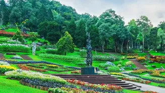 Indian Terrace Gardens Are Finding Seasonal Colour Through Rain-Tolerant Plants