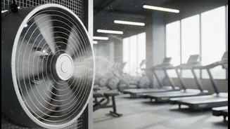 How Gym-Goers Can Leverage Indoor Air Circulation To Lower Humidity Induced Thermal Overloads