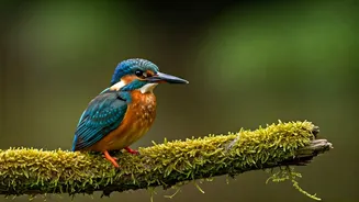Birdwatching Routes Reveal Delhi’s Softer Side