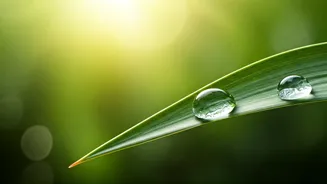 Sun-Proof Your Skin: Expert Tips for a Simplified Summer Skincare Routine