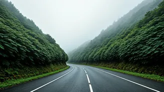 Road Trip Lovers Can't Stop Chasing These Misty Routes