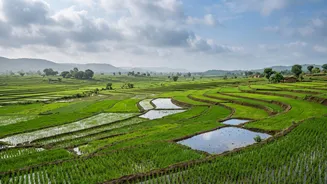 India's Monsoon Enters Its Final Month: Why September Rainfall Still Matters For Farmers
