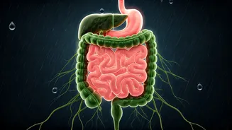 Gut Health Needs Better Monsoon Discipline Now