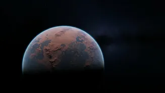 Why Carbon Gas Detections By JWST Make TRAPPIST Exoplanets Top Science Targets