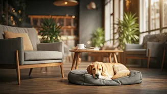 Pet-Friendly Cafés Are Redefining City Culture