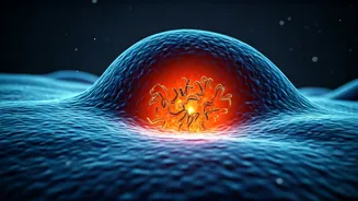 Unlocking Your Body's Repair Crew: The Science Behind the 7-Hour Sleep Cycle