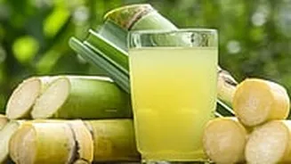 Sugarcane Juice: A Summer Essential-- 10 Best Spots That Serve A Perfect Glass Of 'Ganne Ka Ras' In Indore