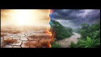 The Weather Guide To El Niño And La Niña