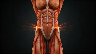 Related Stories banner