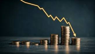 FII Selling Spree: Market Dip & Future Rebound?