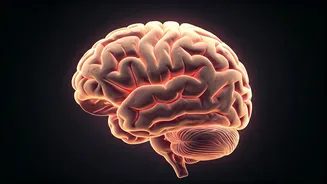 Grow New Brain Cells With These 3 Exercises