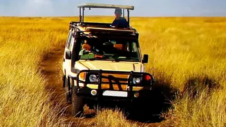 Safaris and Long Rides Reveal South Africa Beyond a Quick Tour