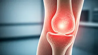 Related Stories banner