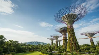 How Indian Passport Holders Benefit From Streamlined Digital Entry Cards In Southeast Asia
