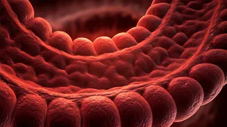 When Constipation Signals Danger: Recognizing Severe Symptoms and Complications