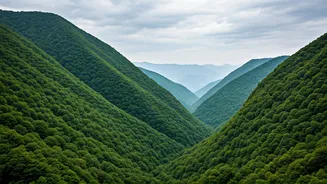 Monsoon Fever Sends Travellers To North India's Peaks