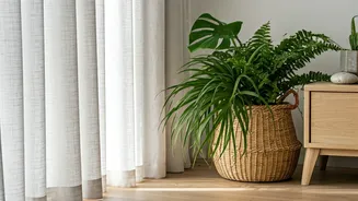 6 Effortless Decor Hacks for a Cooler, Fresher Home This Summer