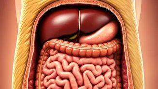 Man's 10KM Run: Visceral Fat Drops!