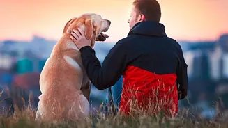 Human-Dog Communication Is Both Widely Shared and Individually Shaped