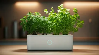Grow Fresh Cooking Herbs Indoors Via Smart Hydroponic Kits