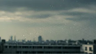 Jaipur's Air Quality Deteriorates to 'Poor' Level: AQI Hits 120