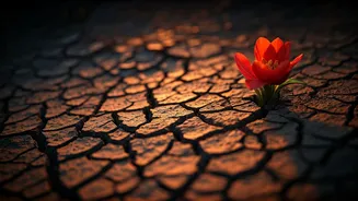 TMC's Fiery Retort to Pakistan's Kolkata Threat: 'We'll Enter Homes and Kill'