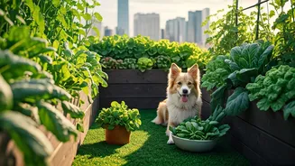 Why Urban Pet Owners Prioritize Rooftop Agriculture For Animal Health