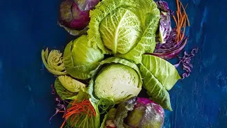 Cabbage Recipes Explore Different Textures From One Leafy Vegetable