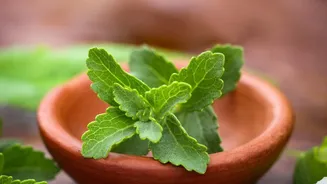 Can a Natural Sweetener Improve Cholesterol? Claims Need Caution