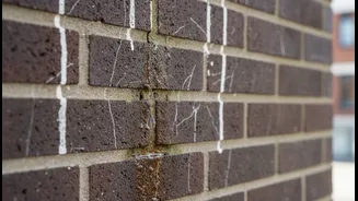 Dripping Irrigation Water Can Damage Facades and Trouble Neighbours