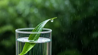 Hydration Is Just As Important During The Rainy Season