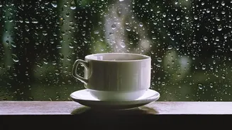 Why Rainy Weather In Coorg Is Drawing Off Season Slow Travellers To Coffee Plantation Homestays