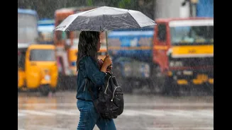 Chennai Weather Today: Moderate Rain With Thunderstorms Likely In Several Tamil Nadu Districts
