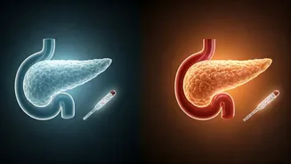 Type 2 Diabetes: Why Diet & Exercise Work for Some, While Others Need Insulin
