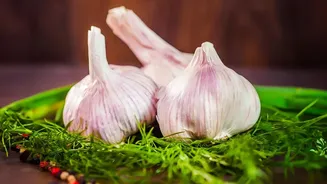 How Garlic And Coriander Dishes Can Use Fresh Coriander With Garlic In Cooking