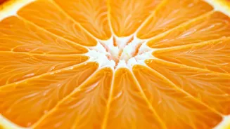 Stay Healthy: A Quick Guide to Daily Wellness