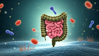 Gut Health & Energy: A Gastroenterologist's Ranking of 10 Breakfast Foods