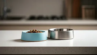 Human-Grade Bowls Are The New Pet Parent Flex