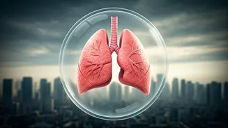 Delhi's Smog: A Hazardous Reality