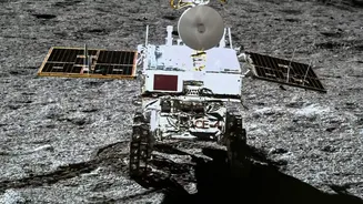 A Week-Long Fungal Survival Window Could Matter for Moon Missions